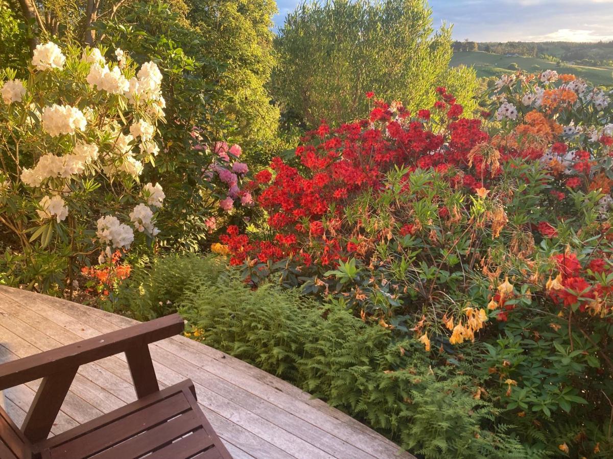 2 Views At Tasman B&B 외부 사진
