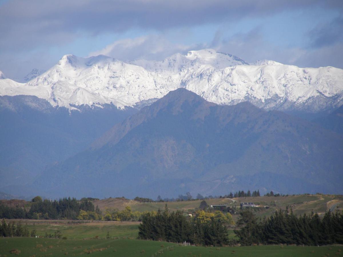 2 Views At Tasman B&B 외부 사진
