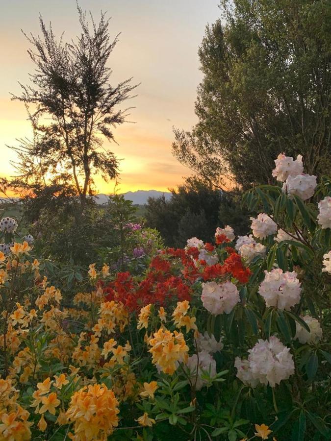 2 Views At Tasman B&B 외부 사진